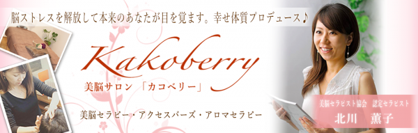 ヘッダー画像実績「Kakoberry」