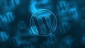 wordpress-581849_640