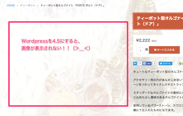 画像が表示されない！